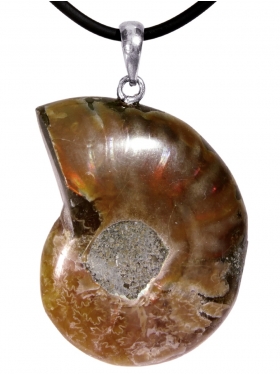 Ammonit (opalisierend) aus Madagaskar, Anhänger mit Silberöse