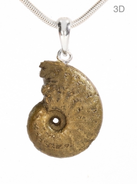 Gold-Ammonit aus den Midi-Pyrénées, Frankreich, Anhänger mit Silberöse