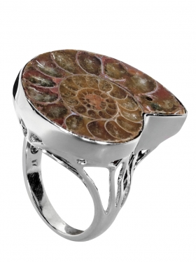 Ammonit aus Madagaskar, Ring Gr. 56 in 925 Silber, Unikat