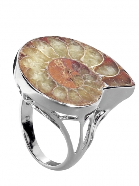 Ammonit aus Madagaskar, Ring Gr. 56 in 925 Silber, Unikat