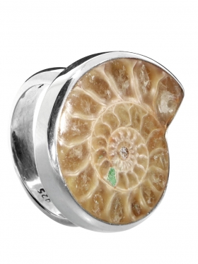 Ammonit aus Madagaskar, Ring Gr. 59 in 925 Silber, Unikat