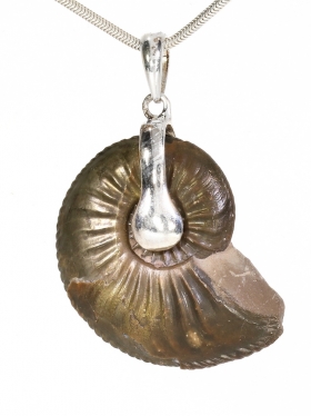 Souvenir aus Baden Württenberg - Anhänger aus Ammonit mit einer Silberöse, Unikat