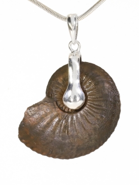 Souvenir aus Baden Württenberg - Anhänger aus Ammonit mit einer Silberöse, Unikat
