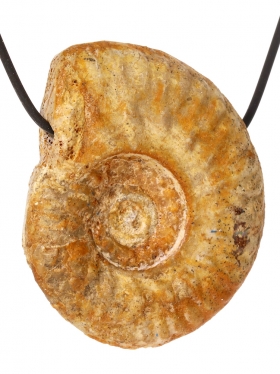 Souvenir aus Frankreich - Anhänger aus Ammonit, seitlich gebohrt, Unikat