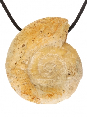 Souvenir aus Frankreich - Anhänger aus Ammonit, seitlich gebohrt, Unikat