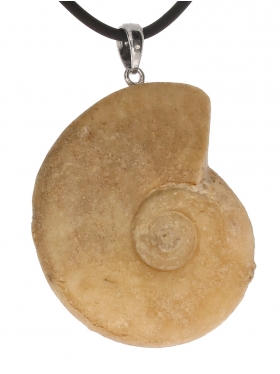 Souvenir aus Frankreich - Ammonit mit Öse 925 Silber rhodiniert, Unikat
