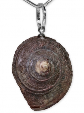 Ammonit aus der Oberpfalz, Anhänger mit Öse, Unikat