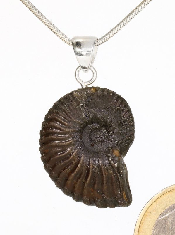 Souvenir aus der Provence - Anhänger aus Ammonit mit einer Silberöse, Unikat