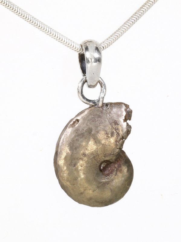 Souvenir aus der Provence - Anhänger aus Ammonit mit einer Silberöse, Unikat