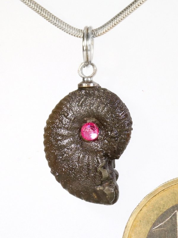 Souvenir aus der Provence - Anhänger aus Ammonit mit Swarowsky Stein mit einer Silberöse, Unikat