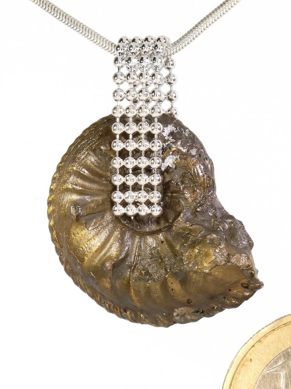 Souvenir aus Baden Württemberg - Anhänger aus Ammonit mit Kugelbandhalter, Unikat
