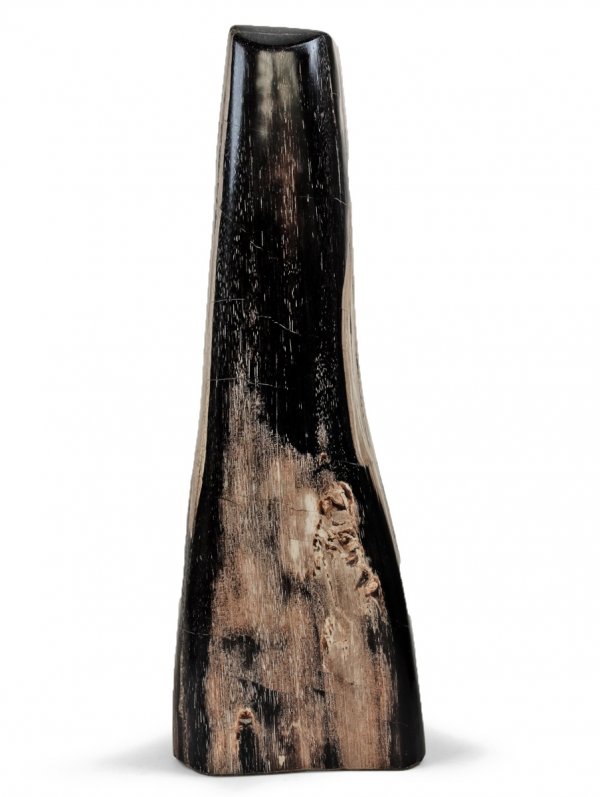 Fossil Wood from Indonesia, polished with sawed base, unique